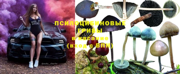 наркотики Каменногорск